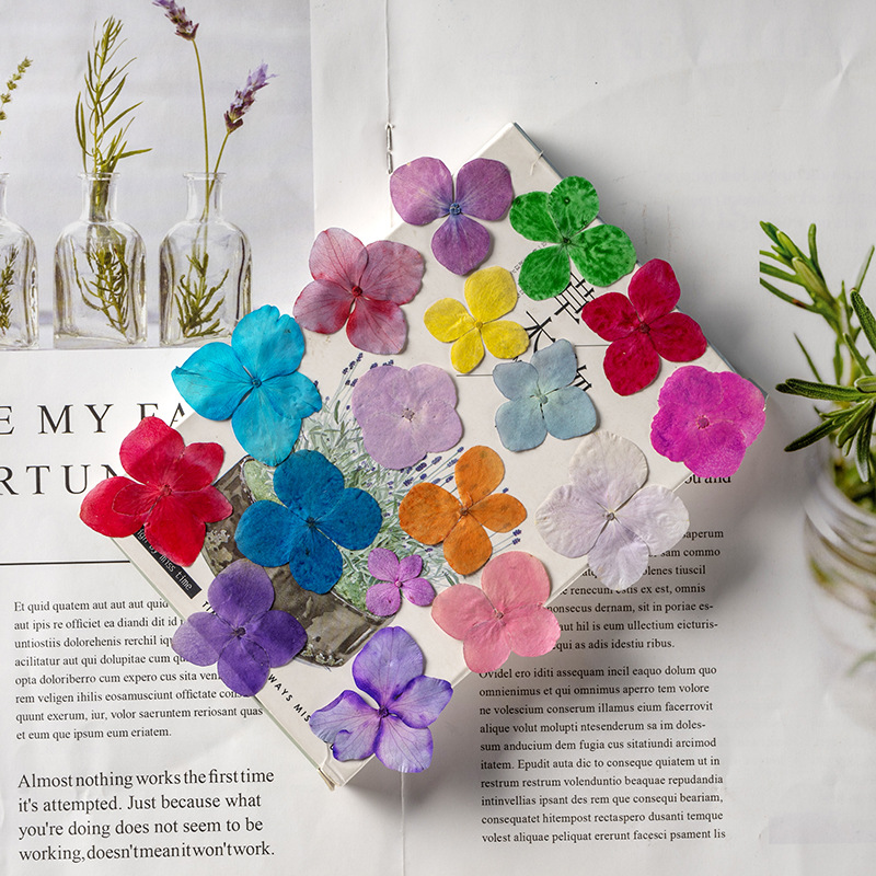 60Pcs Anna Hydrangea Color-Abs - огляд і ціна Dried Flower Bookmark
