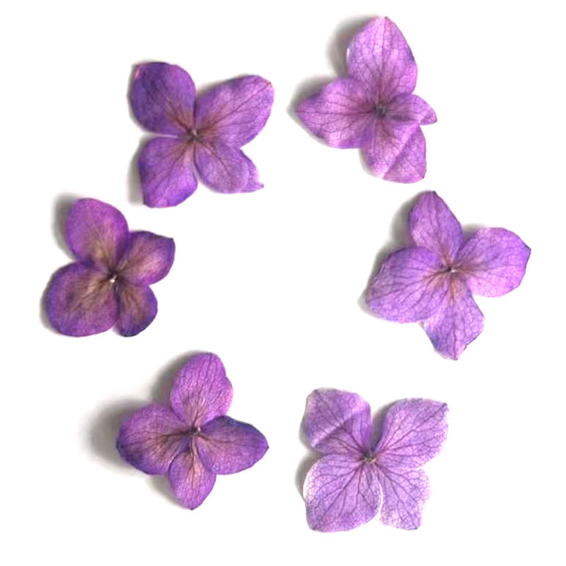 60Pcs Anna Hydrangea Color-Abs - огляд і ціна Dried Flower Bookmark