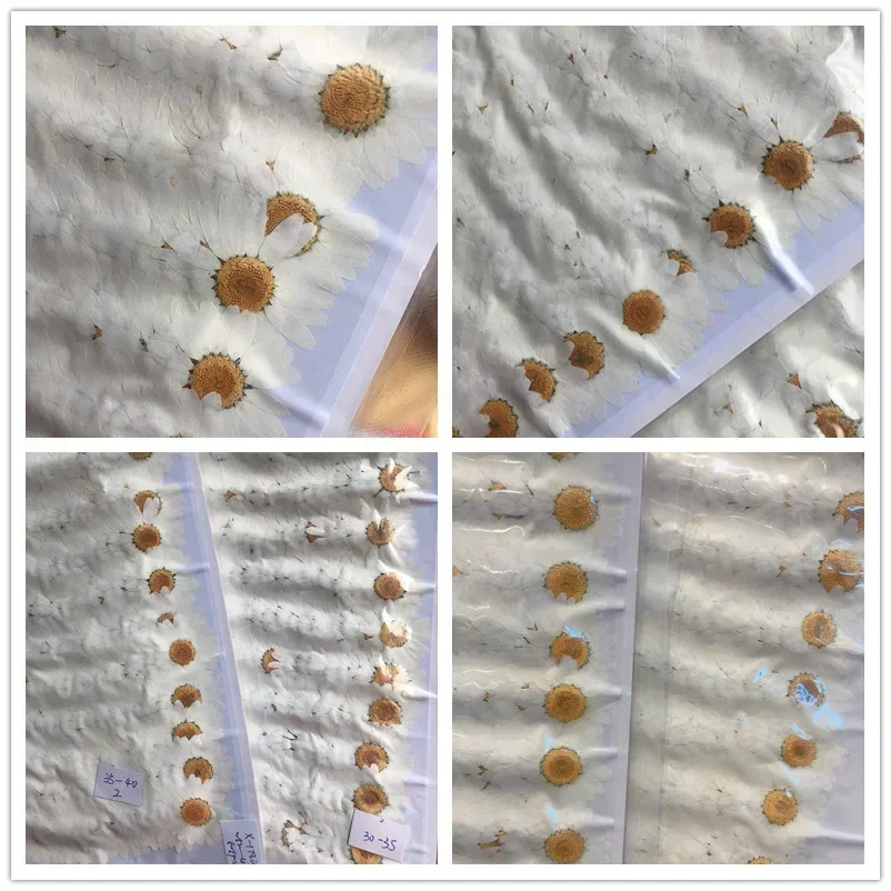 60X Pressed Dried Natural Whit - огляд і ціна Dried Flower Bookmark