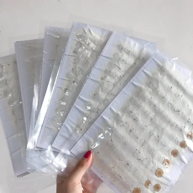 60X Pressed Dried Natural Whit - огляд і ціна Dried Flower Bookmark