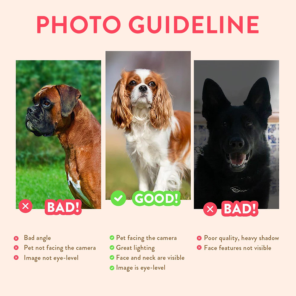 Personalized Pet Portraits Pho - огляд і ціна Pet Portrait Custom