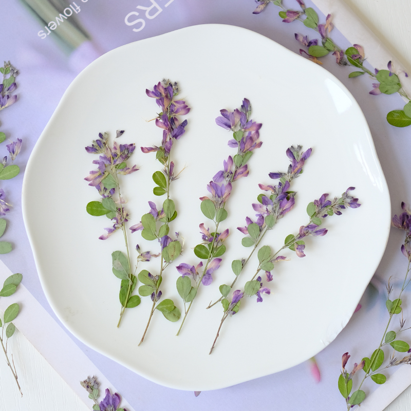 6pcs,nature Lespedeza Formosa  - огляд і ціна Dried Flower Bookmark
