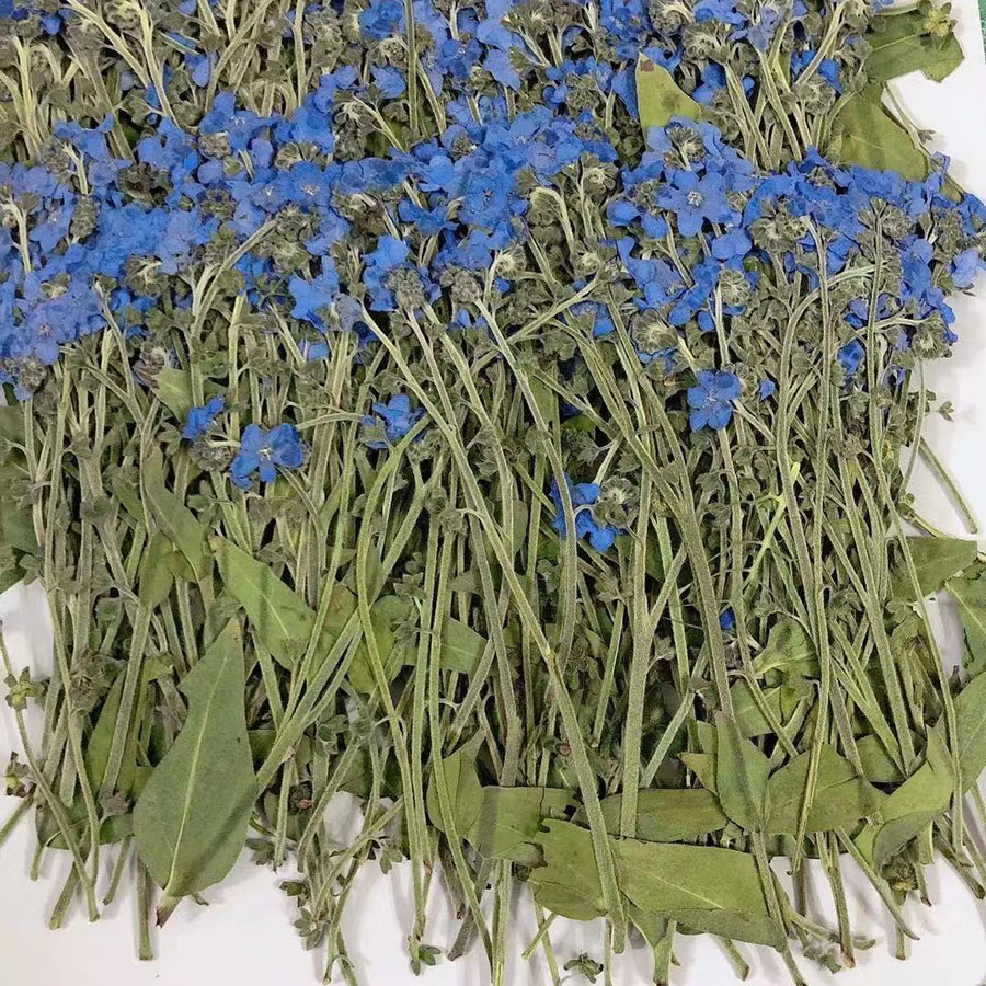 Natural Pressed Dried Blue For - огляд і ціна Dried Flower Bookmark