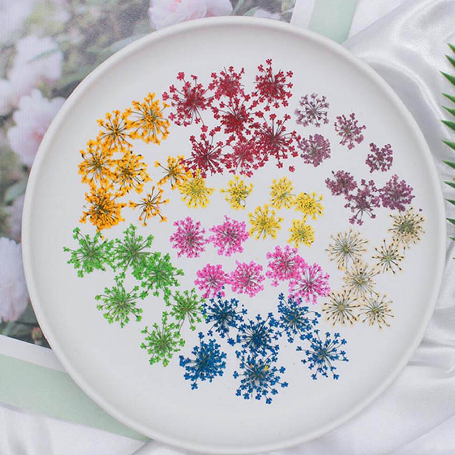 60pcs Pressed Dried 15-20mm Am - огляд і ціна Dried Flower Bookmark
