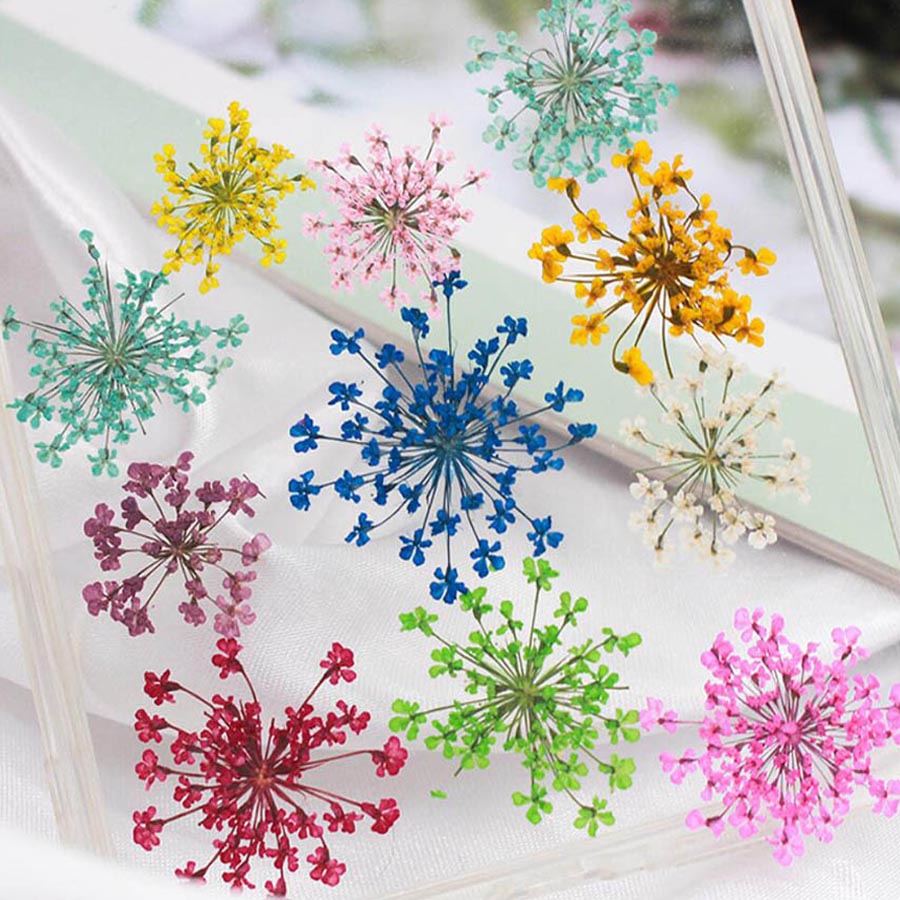 60pcs Pressed Dried 15-20mm Am - огляд і ціна Dried Flower Bookmark