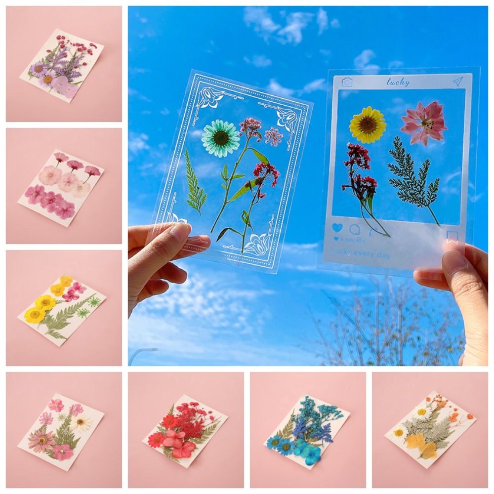 DIY Materials DIY Dried Flower - огляд і ціна Dried Flower Bookmark