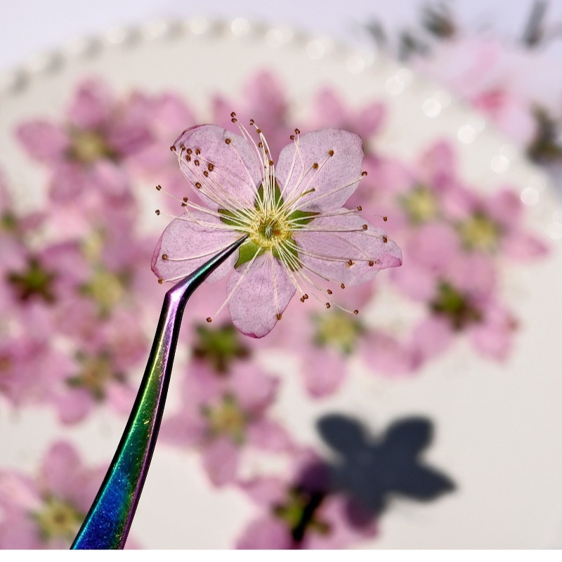 3-4cm./6pcs,Pink Peach Blossom - огляд і ціна Dried Flower Bookmark