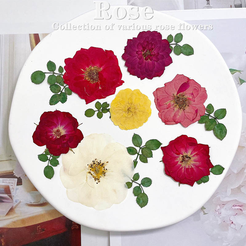 60pcs Pressed Dried Red Yellow - огляд і ціна Dried Flower Bookmark