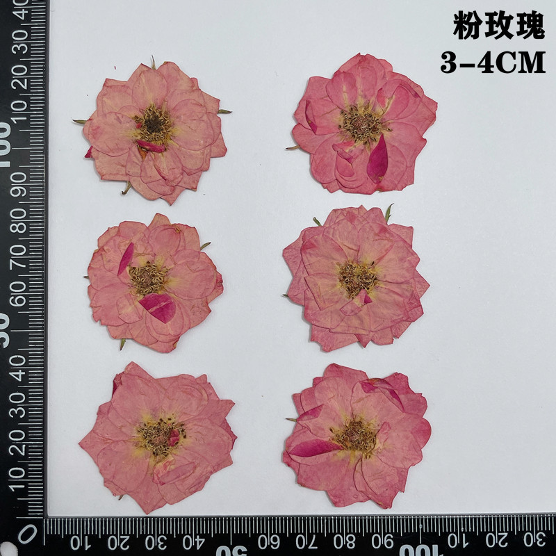 60pcs Pressed Dried Red Yellow - огляд і ціна Dried Flower Bookmark