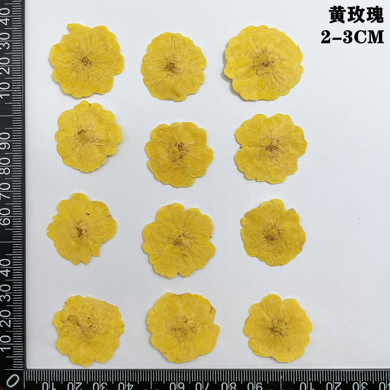 60pcs Pressed Dried Red Yellow - огляд і ціна Dried Flower Bookmark