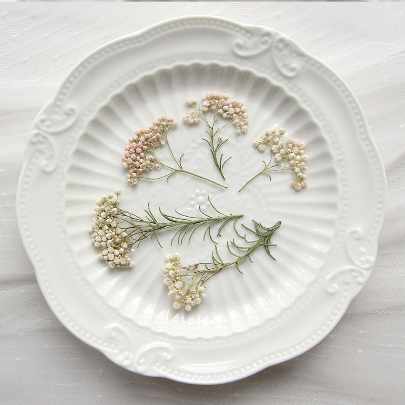 12pcs, Nature Millet Flower Br - огляд і ціна Dried Flower Bookmark