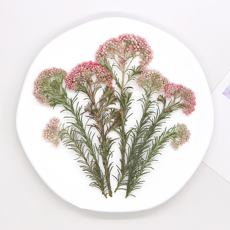 12pcs, Nature Millet Flower Br - огляд і ціна Dried Flower Bookmark
