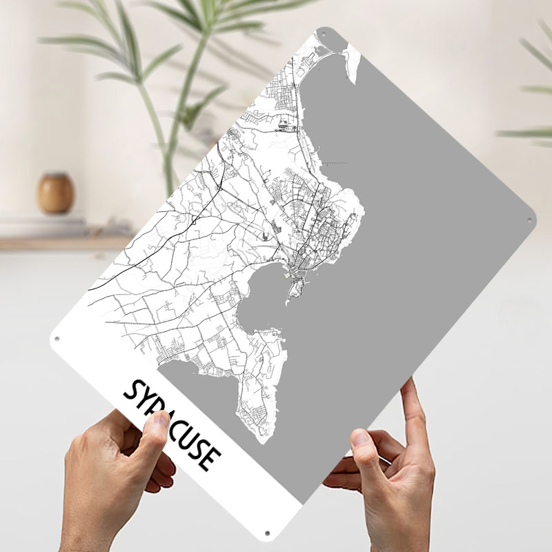 Syracuse City Map Metal Poster - огляд і ціна Custom Map Poster