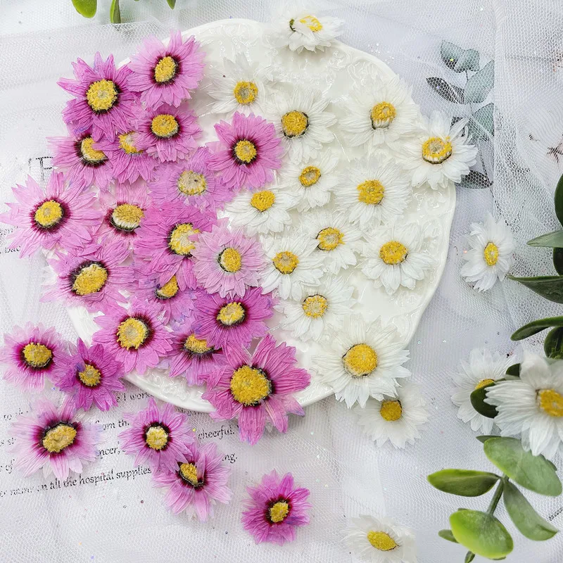 24pcs/2-4CM,Natural Pressed Fl - огляд і ціна Dried Flower Bookmark