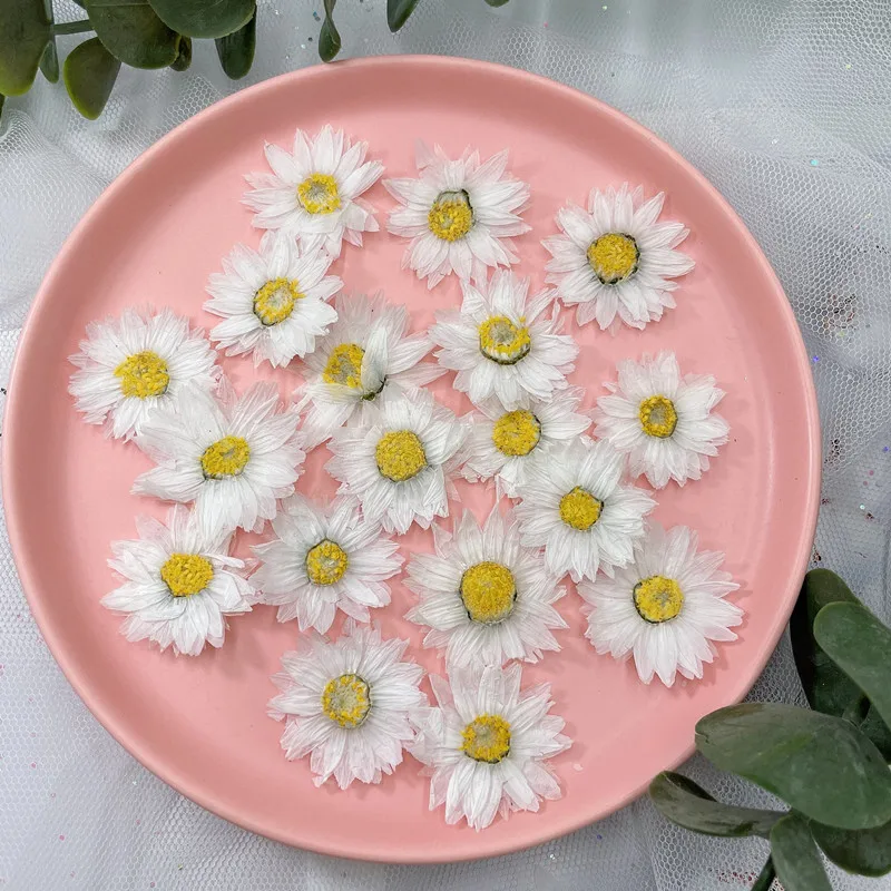 24pcs/2-4CM,Natural Pressed Fl - огляд і ціна Dried Flower Bookmark