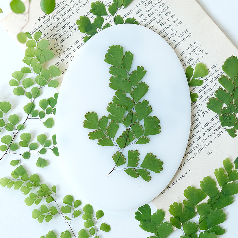 60Pcs Natural Plant Real Flowe - огляд і ціна Dried Flower Bookmark