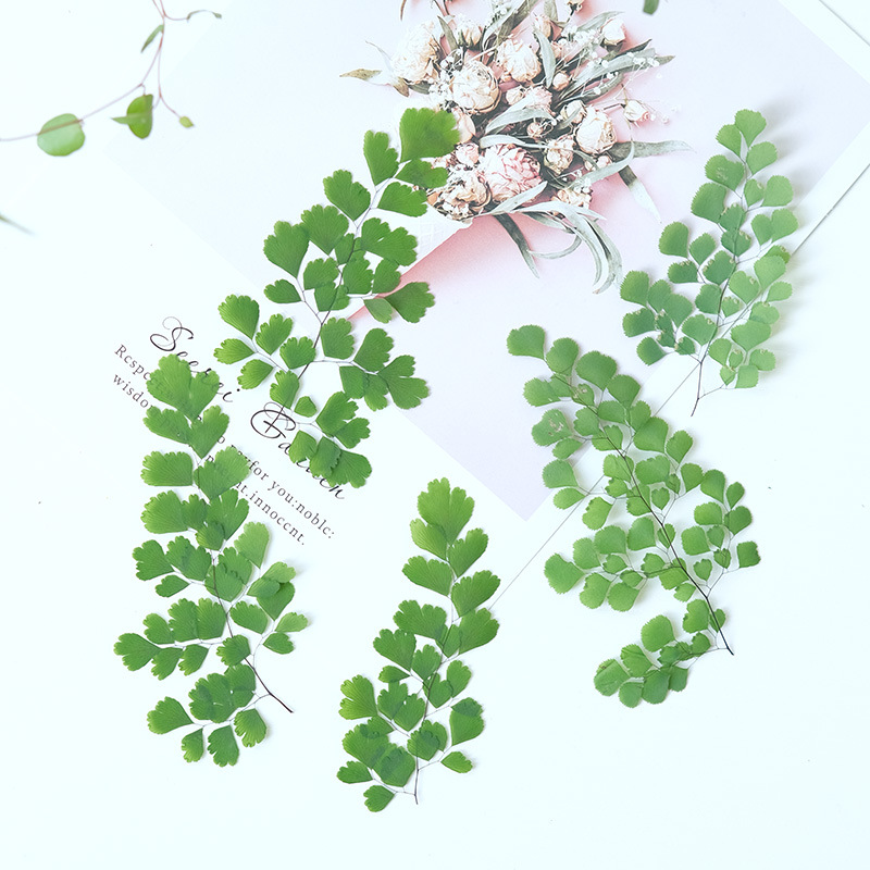 60Pcs Natural Plant Real Flowe - огляд і ціна Dried Flower Bookmark