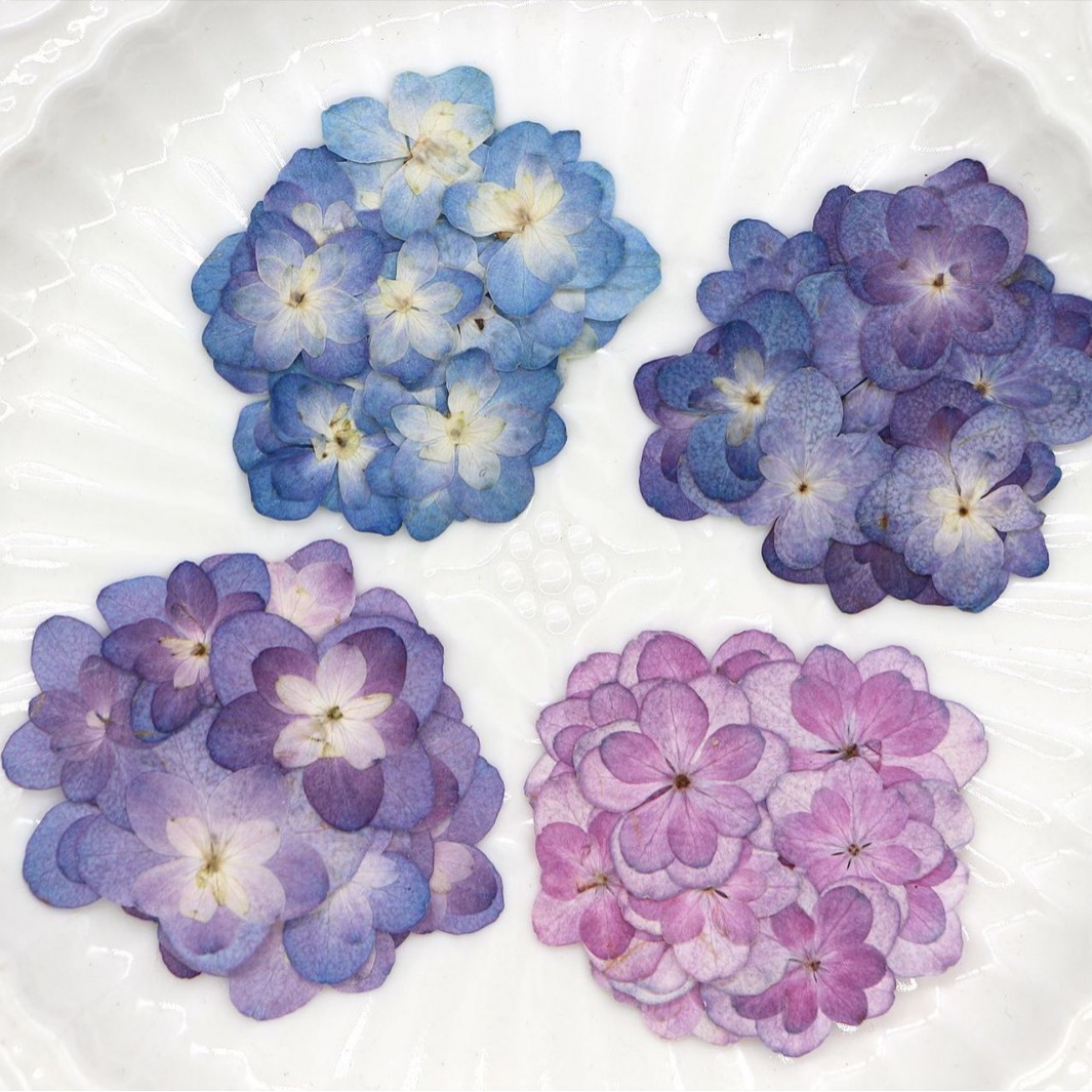 60Pcs Mini Double-Flowered Hyd - огляд і ціна Dried Flower Bookmark