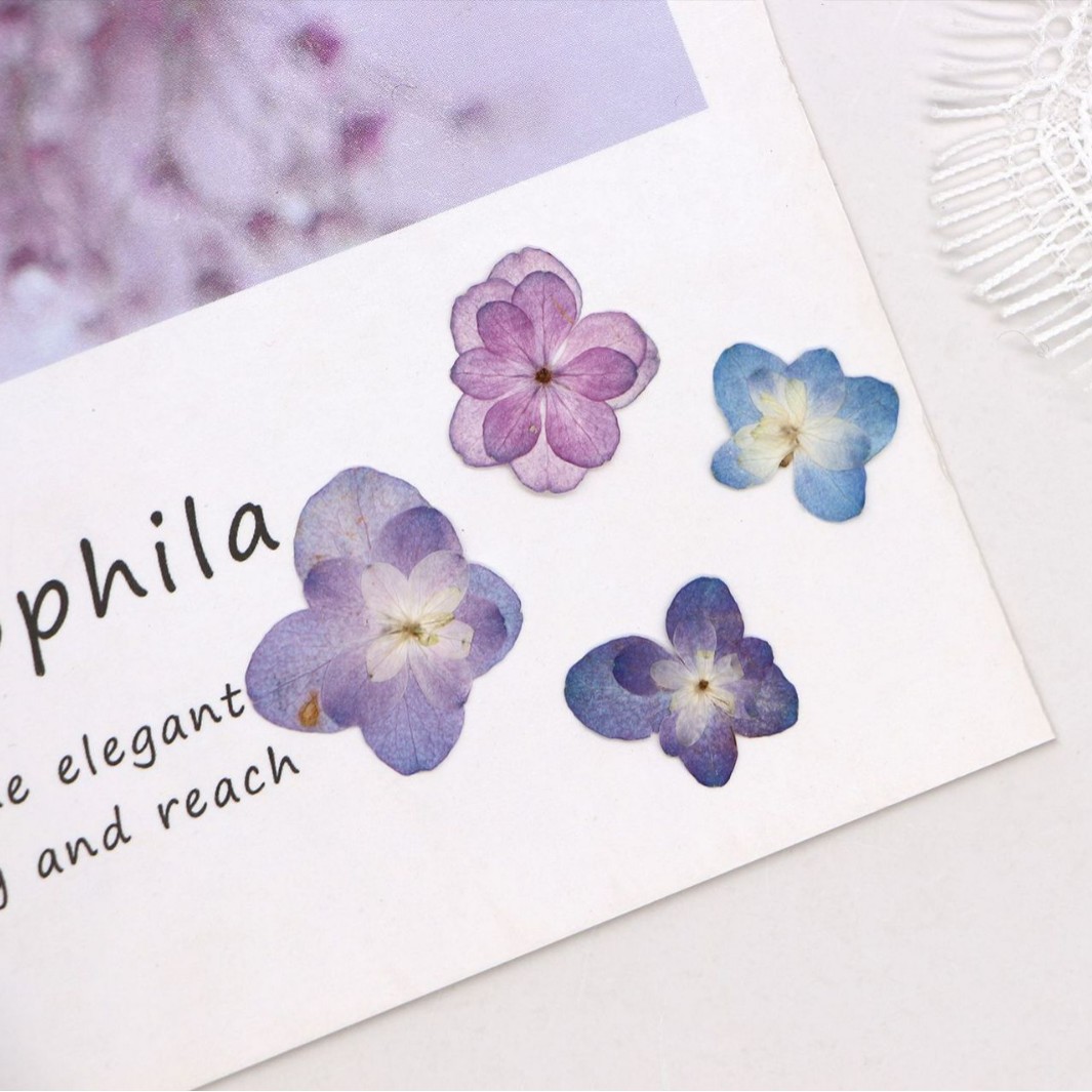 60Pcs Mini Double-Flowered Hyd - огляд і ціна Dried Flower Bookmark