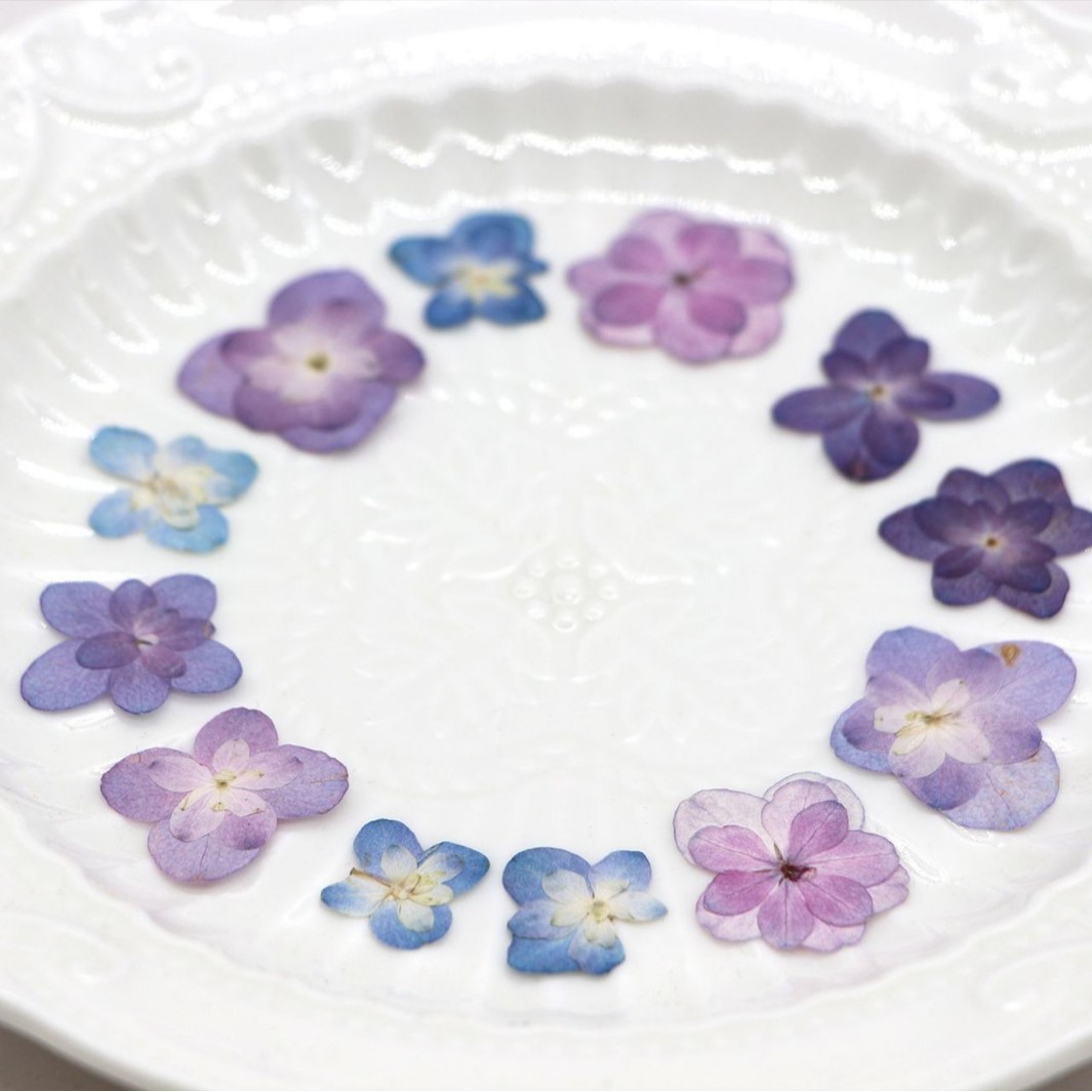 60Pcs Mini Double-Flowered Hyd - огляд і ціна Dried Flower Bookmark