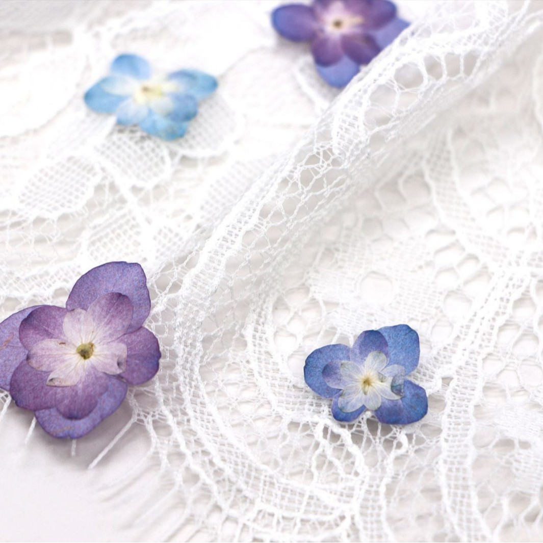 60Pcs Mini Double-Flowered Hyd - огляд і ціна Dried Flower Bookmark