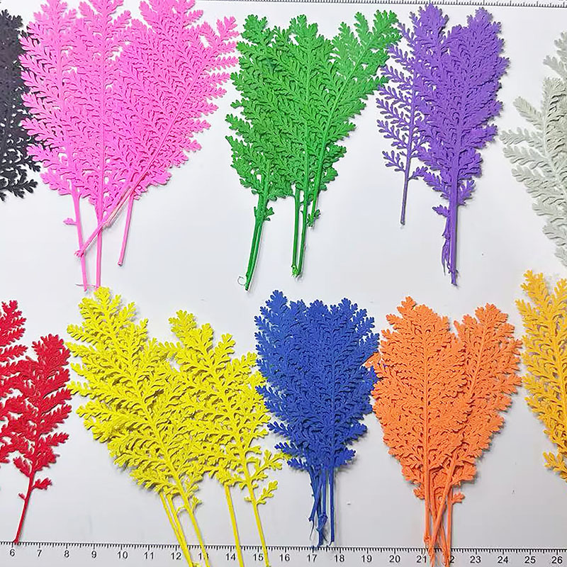 100Pcs Natural Silver Feather  - огляд і ціна Dried Flower Bookmark