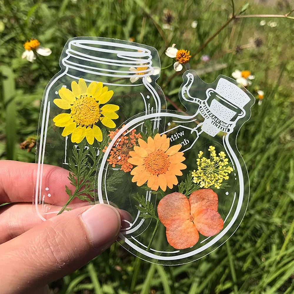 30Pcs Transparent Dried Flower - огляд і ціна Dried Flower Bookmark