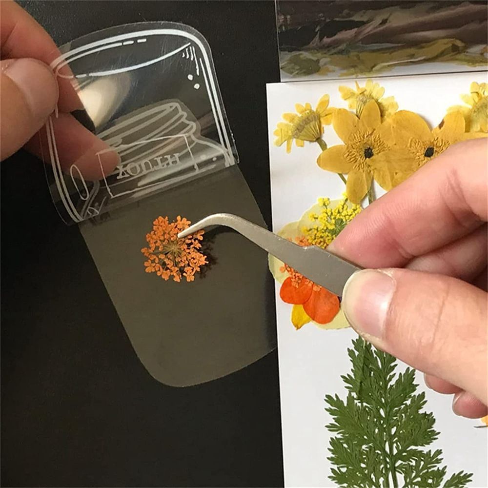 30Pcs Transparent Dried Flower - огляд і ціна Dried Flower Bookmark