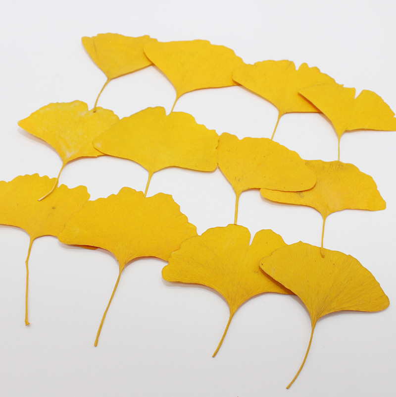 60pcs Pressed Dried Yellow/Gre - огляд і ціна Dried Flower Bookmark