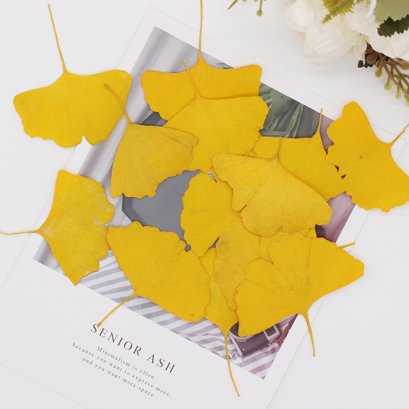 60pcs Pressed Dried Yellow/Gre - огляд і ціна Dried Flower Bookmark